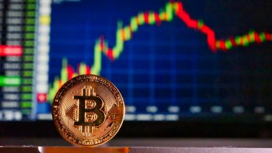 Bitcoin bate novo recorde de valor